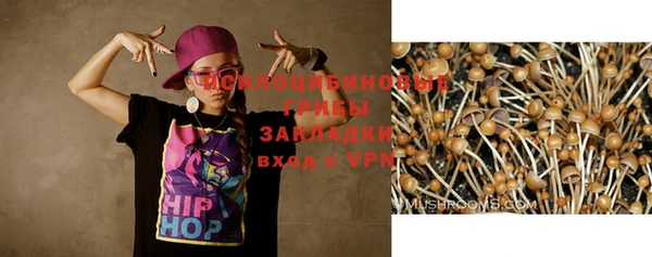 соль курить ск Абаза